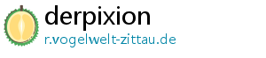 derpixion