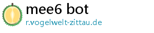 mee6 bot