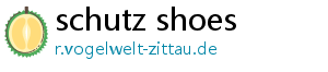 schutz shoes