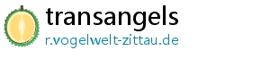 transangels