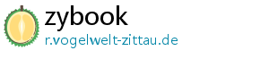 zybook